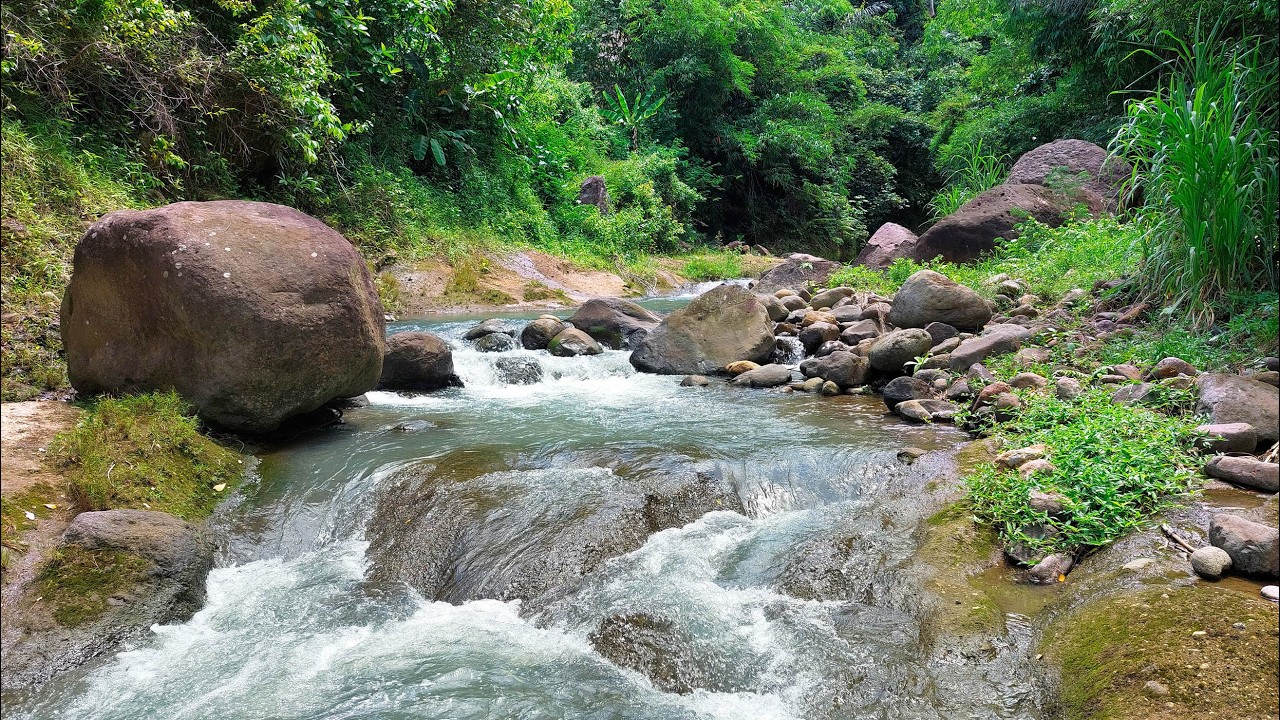 River Sounds for Deep Sleep 🌿 Let the Forest River Flow Wash Away Your Stress and Quiet Your Mind
