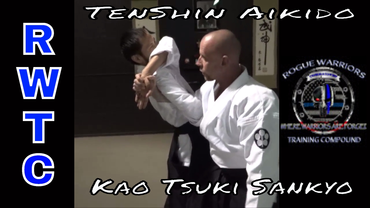 Sankyo wrist lock - TenShin Aikido #takingaikidoback
