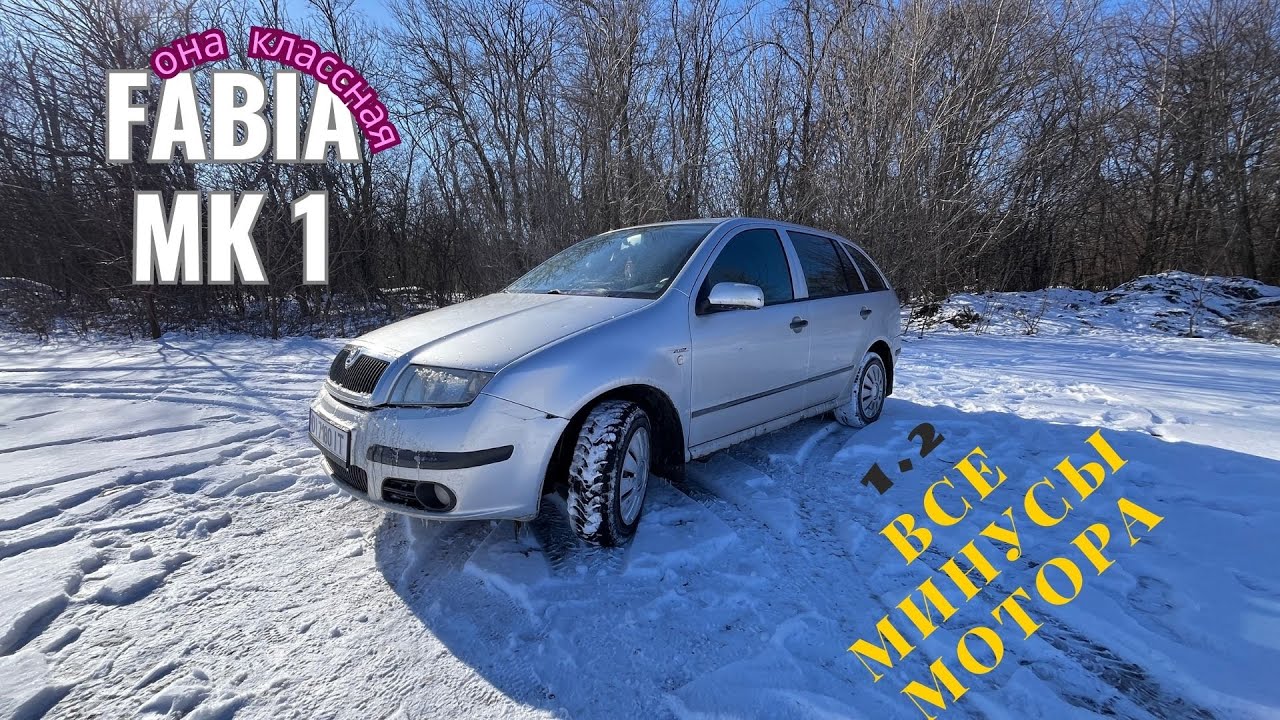 СТОИТ ПОКУПАТЬ SKODA FABIA MK1 КАК ПЕРВУЮ МАШИНУ ИЛИ ЛУЧШЕ КУПИТЬ ЗА ТЕ ЖЕ ДЕНЬГИ ЛАНОС…