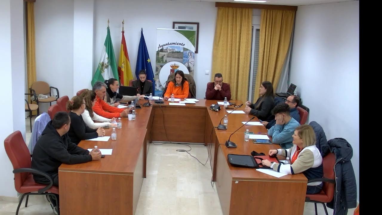PLENO ORDINARIO 19 FEBRERO 2026