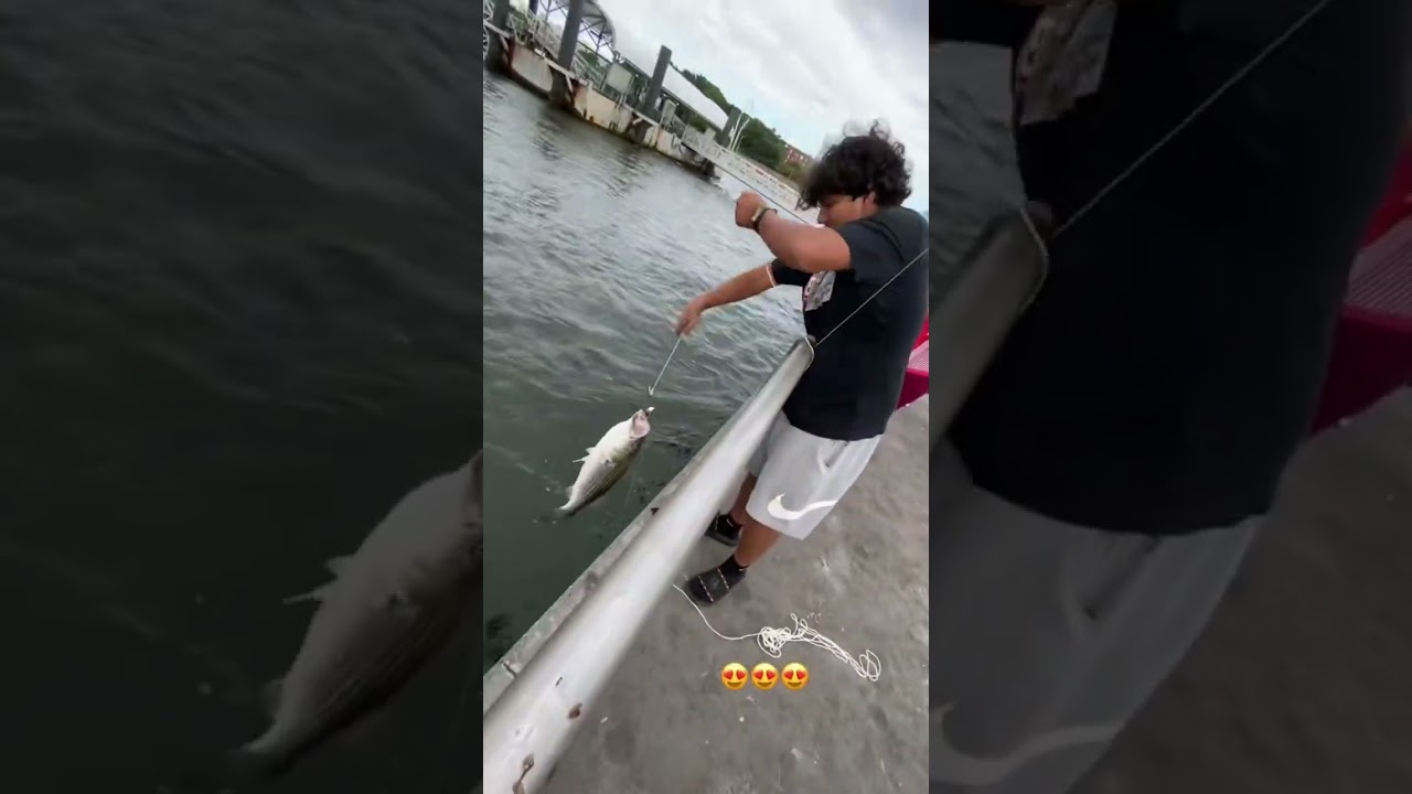 Big fish🐟 #fyp #nyc #nycfishing #fishing #stripedbassfishing #shark #pierfishing #nike
