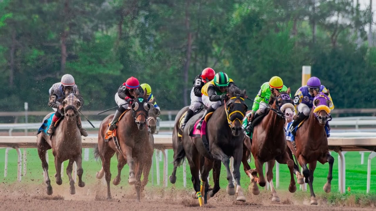 Kentucky Derby 2025: The Ultimate Guide to Horses and Odds!