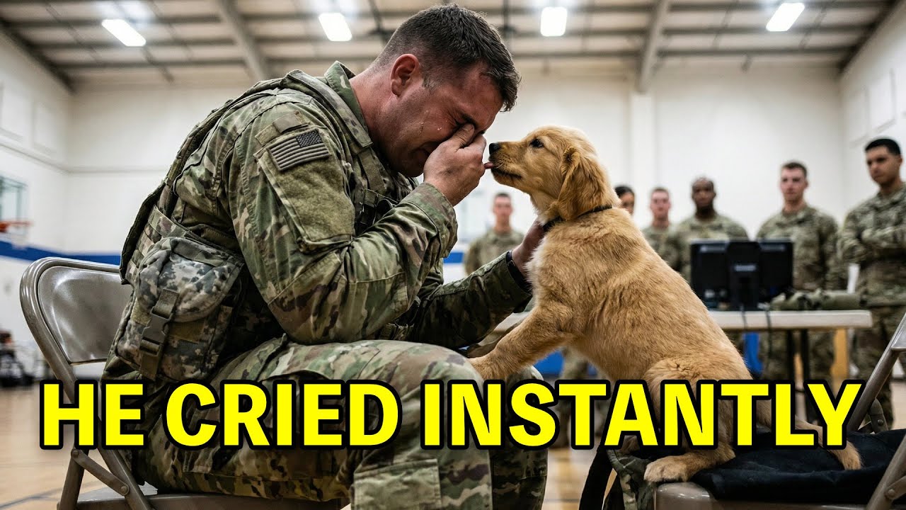 Soldiers Break Down When Puppies Pick Them...