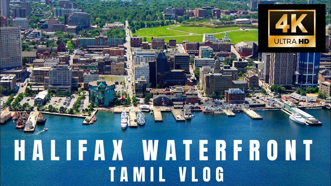 A day in Halifax Waterfront !!! #tamilvlog #canadatamilvlog #waterfront #halifax #india  #tourvlog
