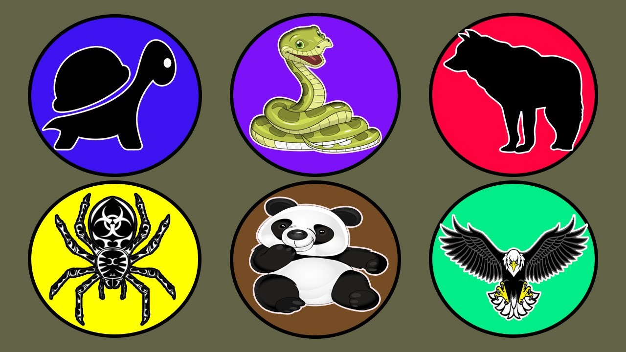 Suara Hewan : Kura-kura, Ular, Srigala, Elang, Panda, Tarantula, Sapi, Kambing