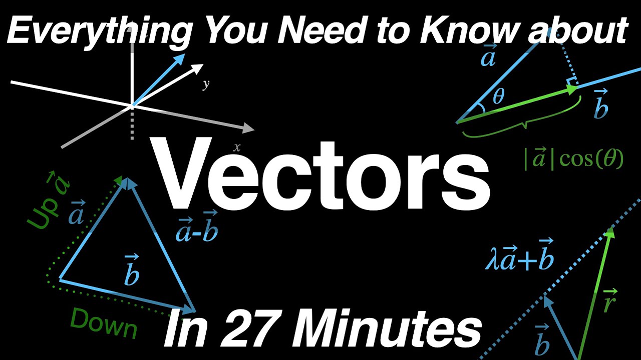 Vectors | All-in-One Video