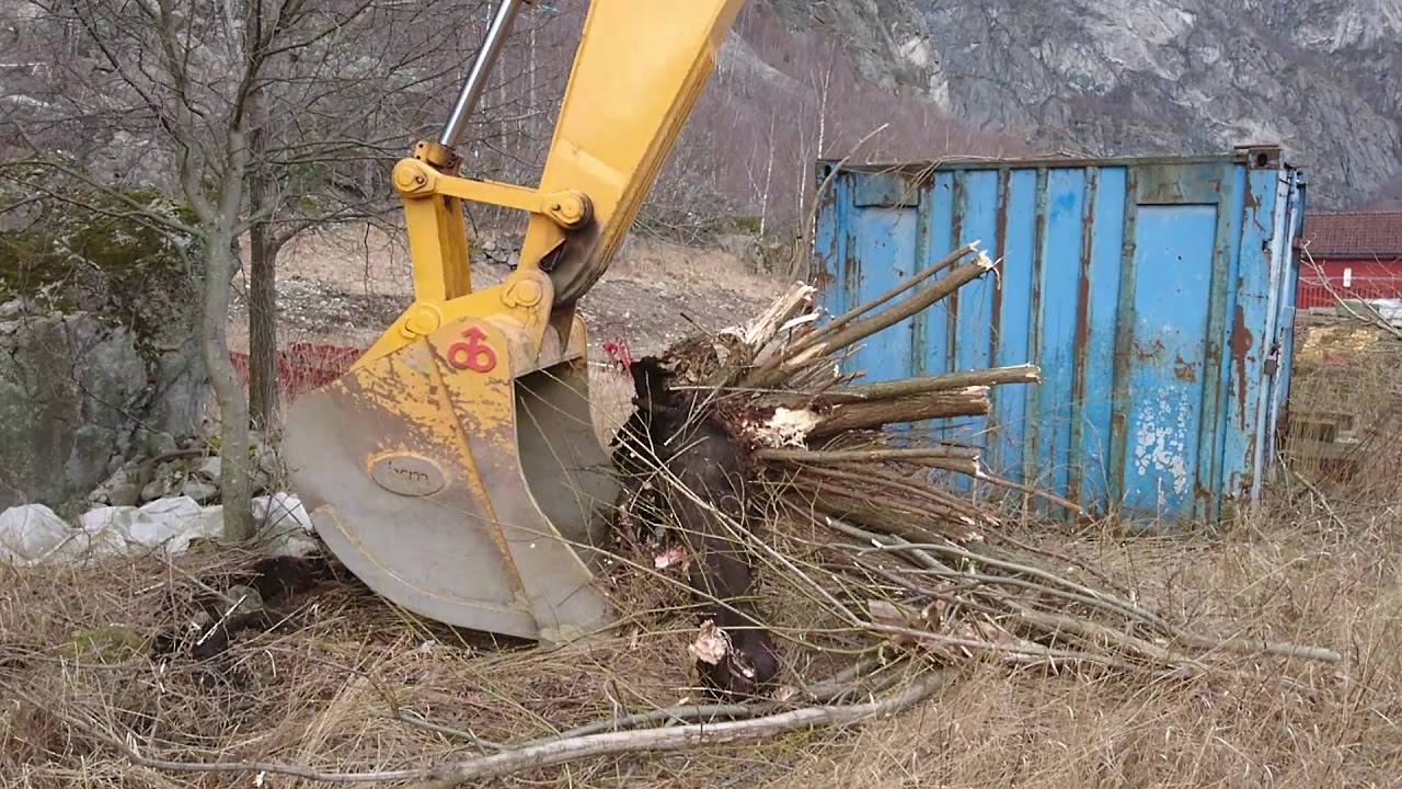 Brøyt x45tb taking a root.