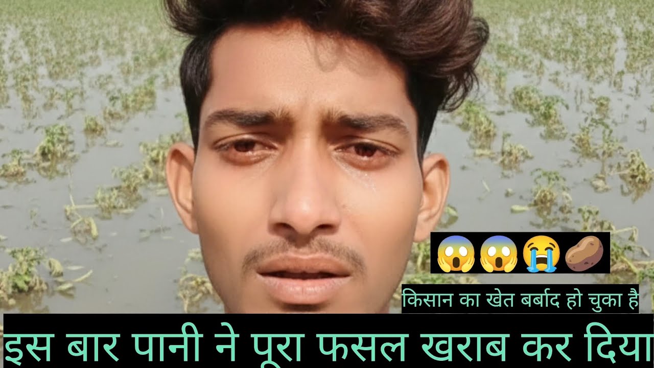 इस बार पानी ने पूरा फसल खराब कर दिया है😭