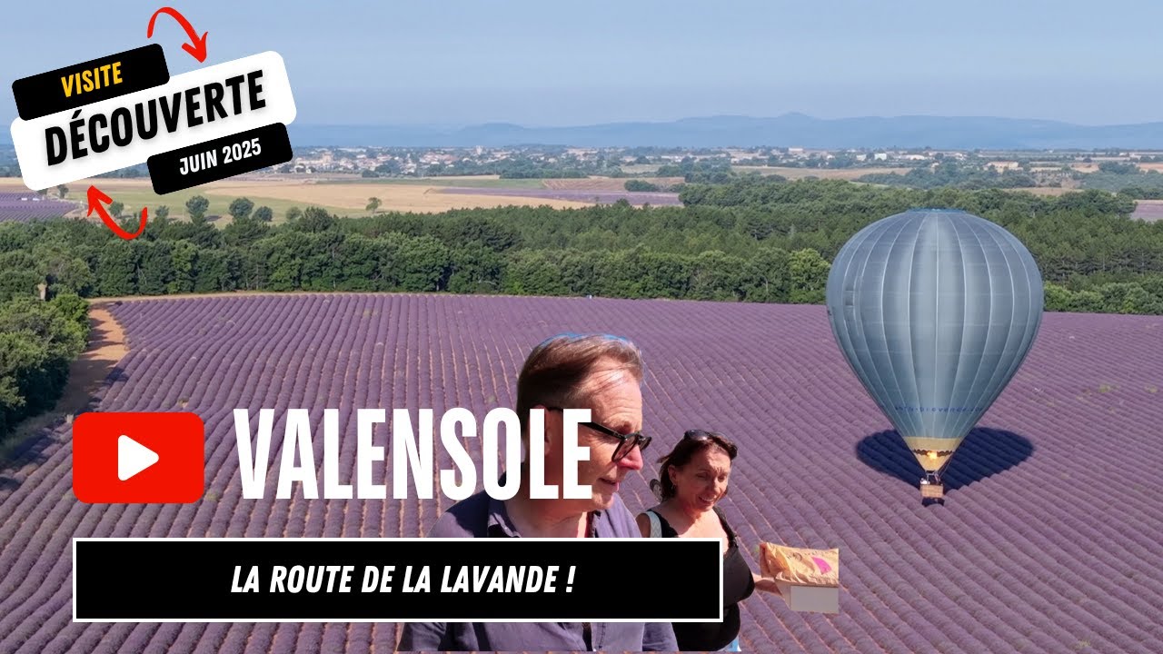 Valensole, juste avant la récolte de la Lavande ! - Alpes-de-Haute-Provence #provence #dronefootage