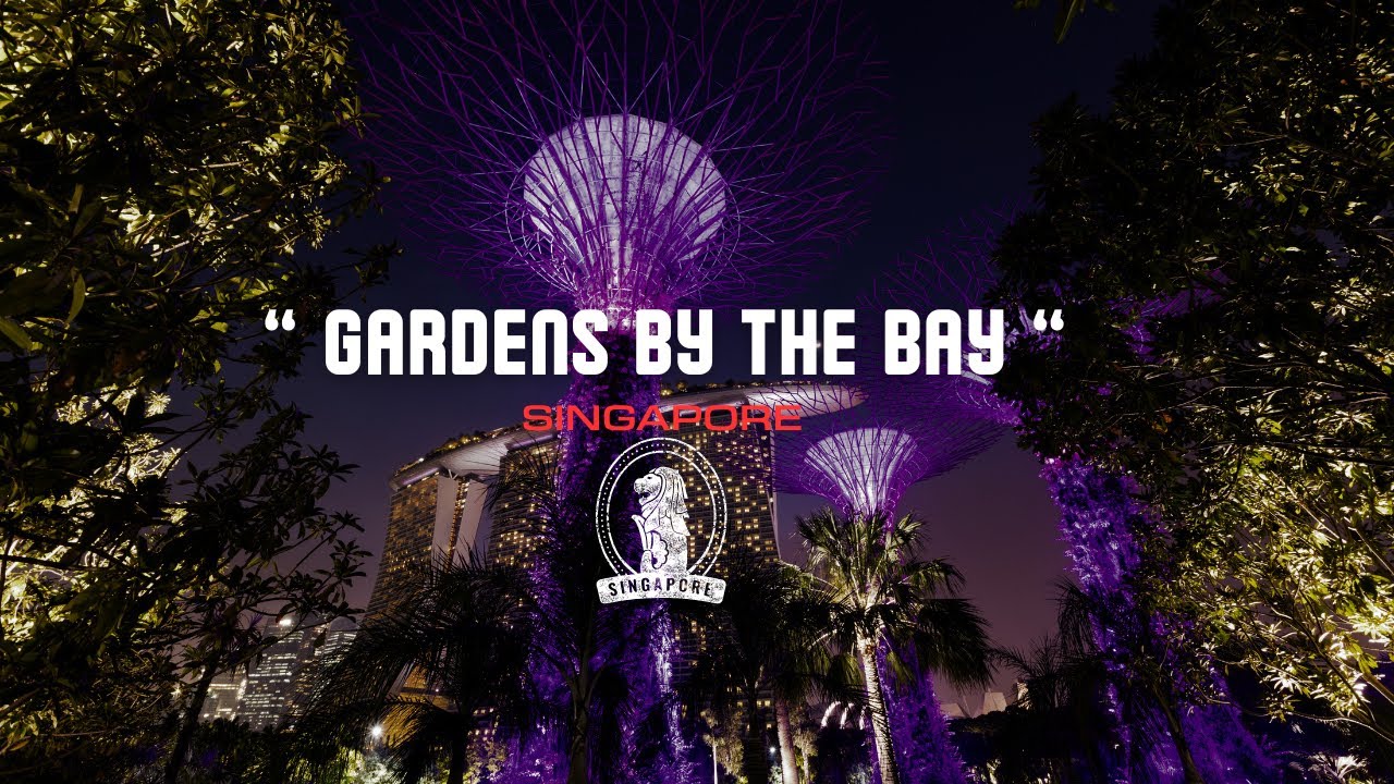 Singapore Gardens by the Bay at Night | OFFICIAL SONG