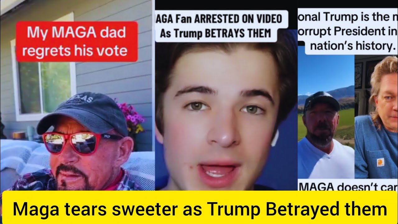 Nothing Sweeter than maga tears as they Realize Donald trump Betrayed them all #fafo season continue