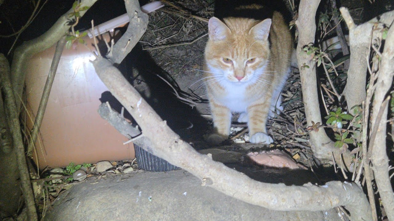 #앞동네아이 (2026년 2월 3일)