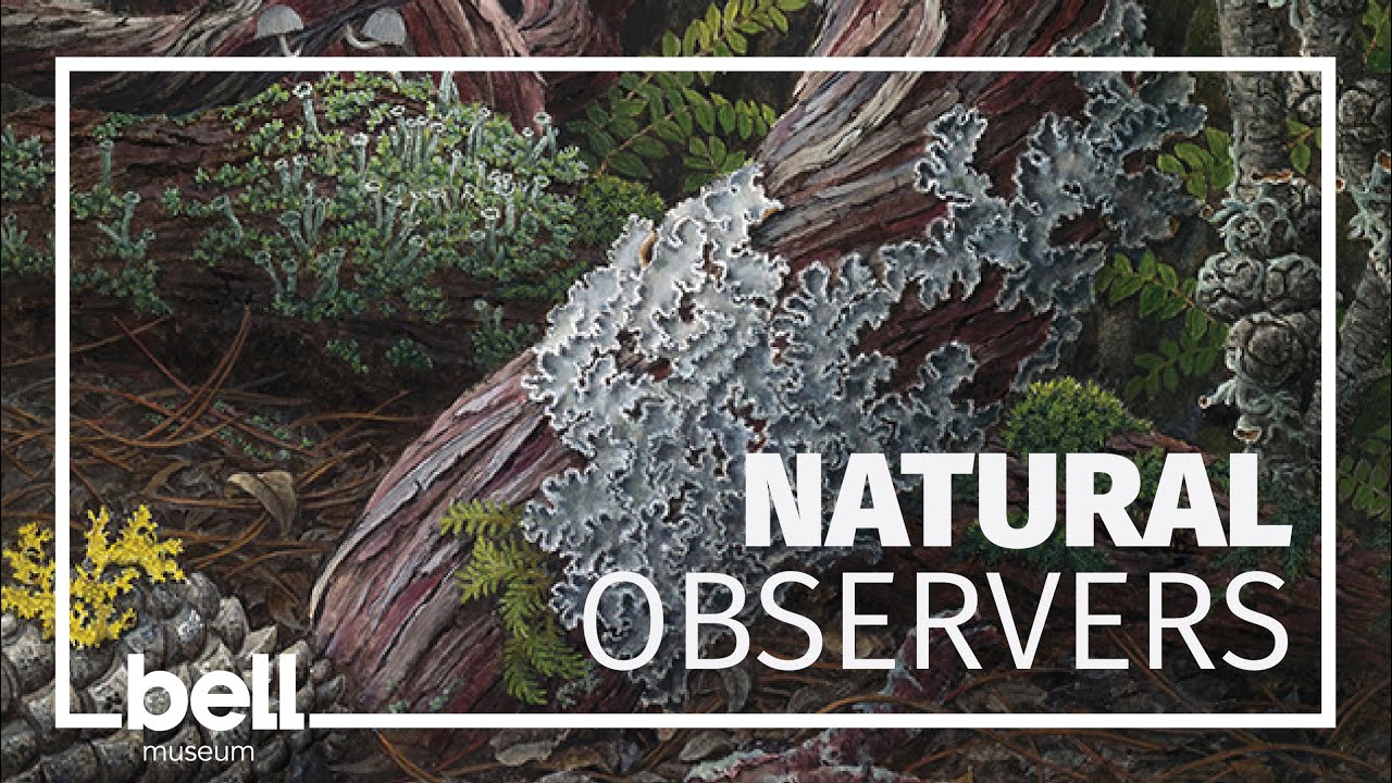 Natural Observers: A Conversation at the Intersection of Art and Science