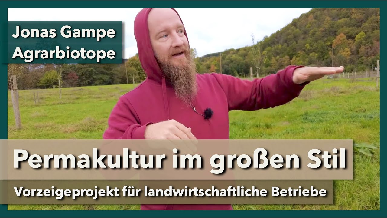 Permakultur für landwirtschaftliche Betriebe | Jonas Gampe & Agrarbiotope | Rundgang 1 | 2023