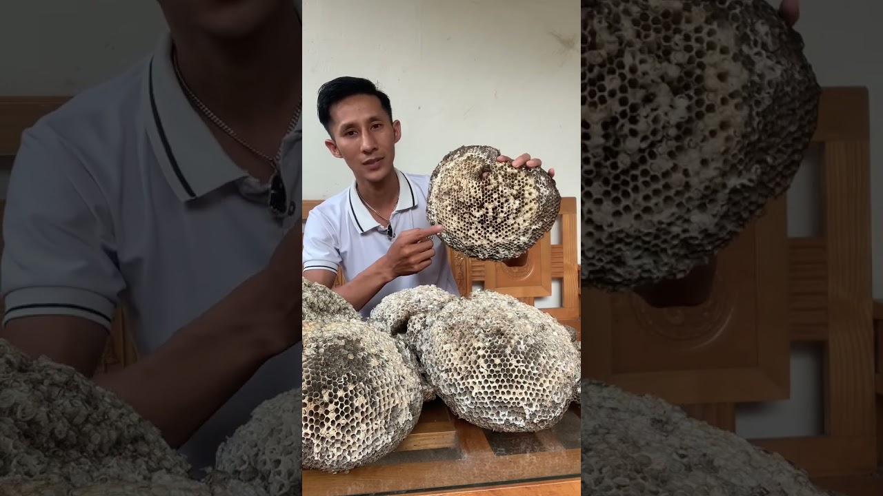 THU MUA TỔ ONG VANG GIÁ CAO 0335.120.716
