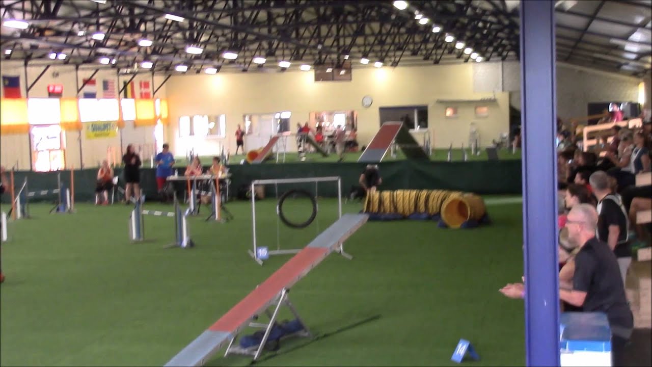 Say at EO, BCC & Swiss Cup 2015