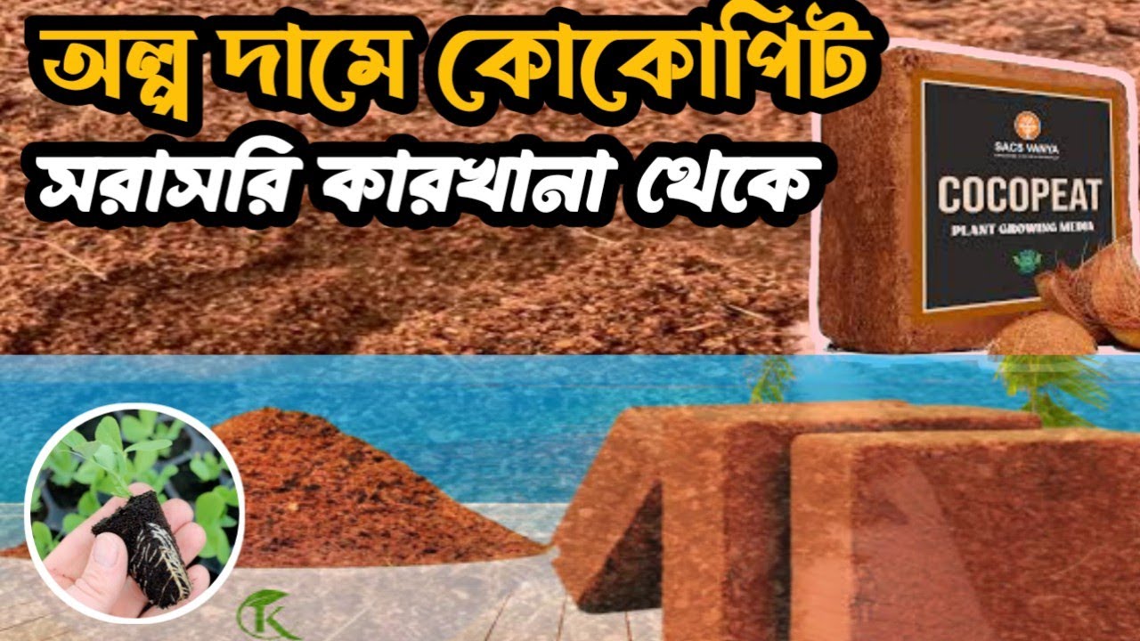 সরাসরি কারখানা থেকে শুকনো কোকোপিট  এবং কোকোপিট ব্লক  নিতে যোগাযোগ করুন