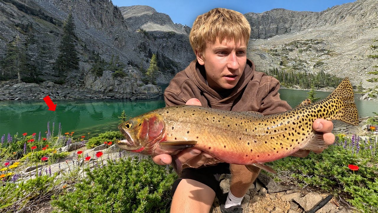 ALPINE Mountain Fishing Adventure - Cutthroat Trout, Hiking & New PB