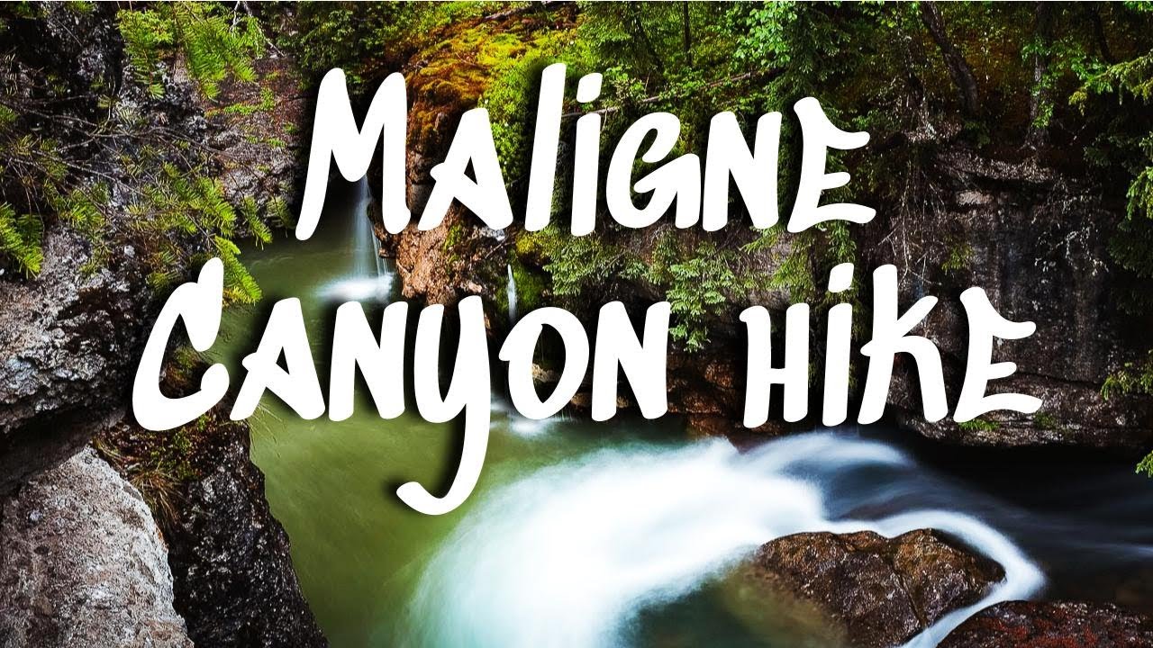 Maligne Canyon Hike || Jasper National Park, Alberta, Canada
