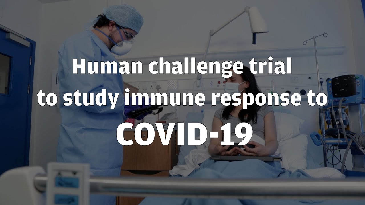 Human challenge trial to study immune response to COVID-19