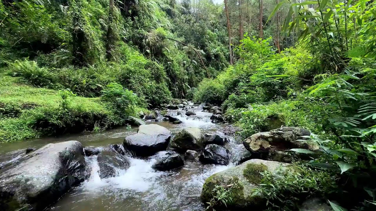 Soothing river sound under moonlit forest sky guiding the mind into long deep sleep recovery