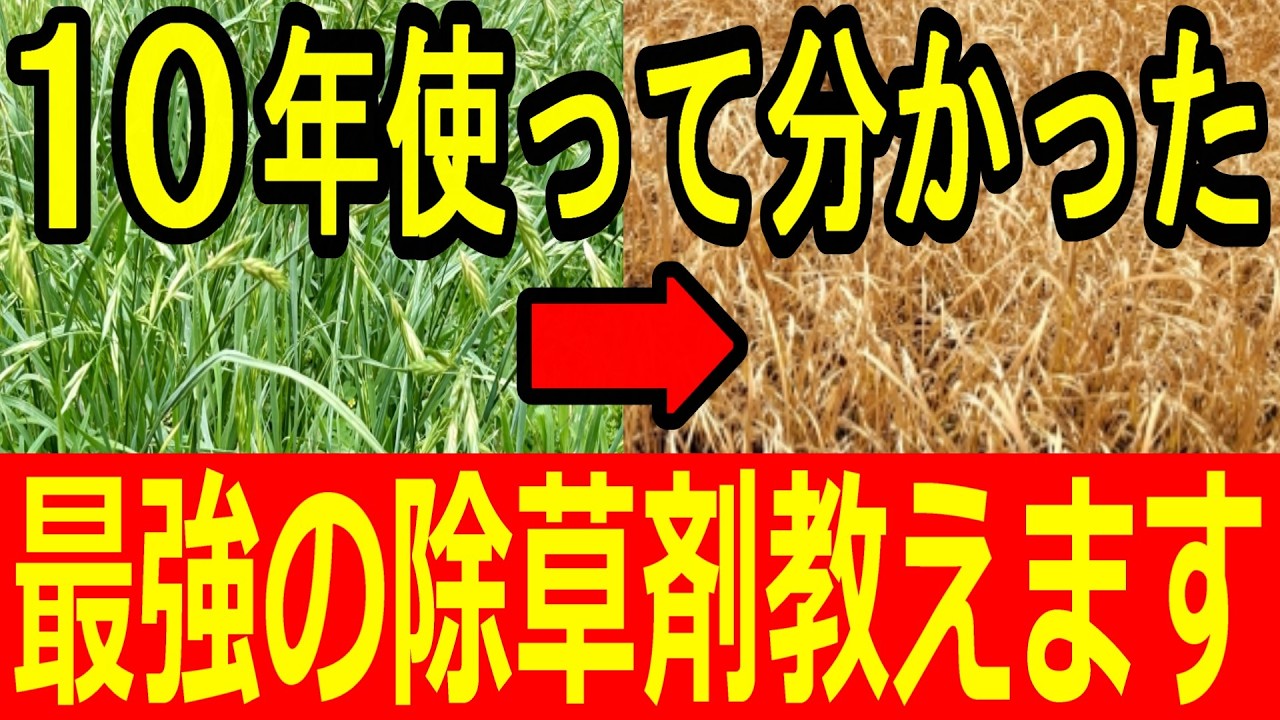 【除草剤】初心者でも安心！正しい撒き方と危険性を基本から解説！