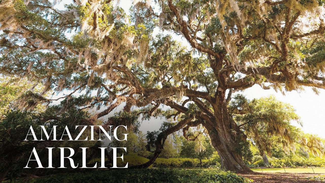 Wilmington&rsquo;s Airlie Gardens Offers a Glimpse of North Carolina 500 Years Ago