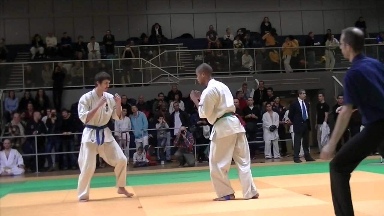 Open de Lyon 2013 - Karate Kyokushin