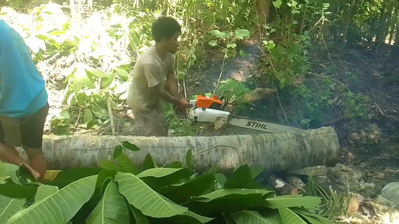 HANYA BISA DILAKUKAN OLEH PROFESIONAL