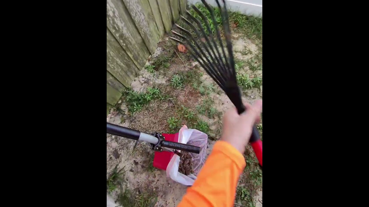 1st Job of the Day of a Pooper Scooper