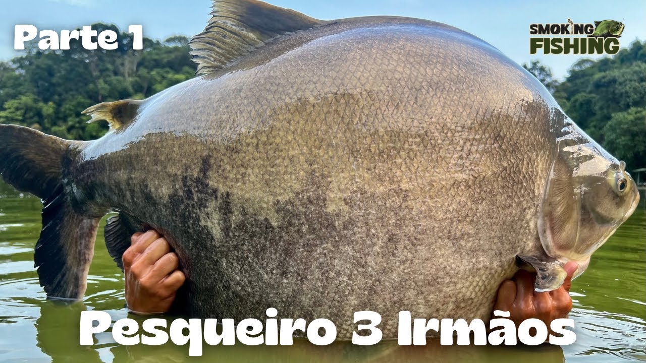5 TRINTADAS - Pesqueiro 3 Irmãos - parte 1