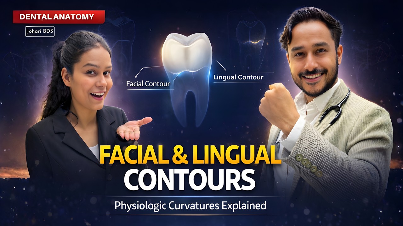Facial & Lingual Physiologic Contours of Teeth Explained 🦷 | Dental Anatomy | Johari BDS