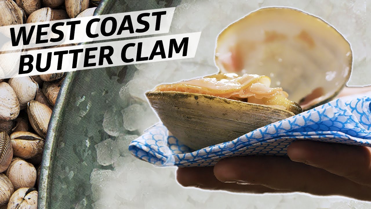 Diving for World Class Butter Clams Off the Coast of Oregon &mdash; Deep Dive