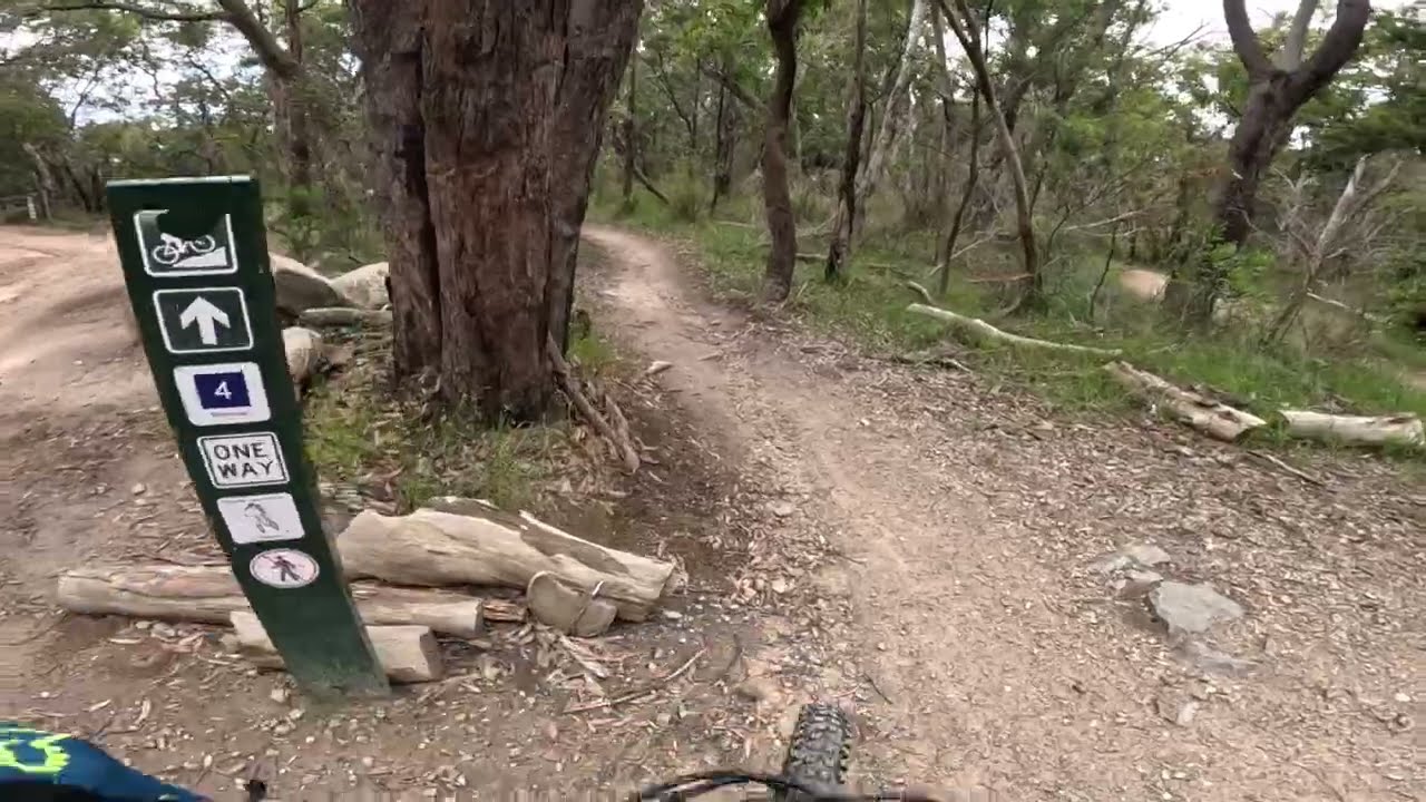 Wombat, Red Hill