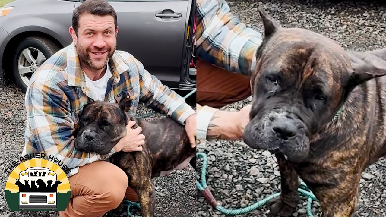 It was love at first sight for me and Princess | Lee Asher
