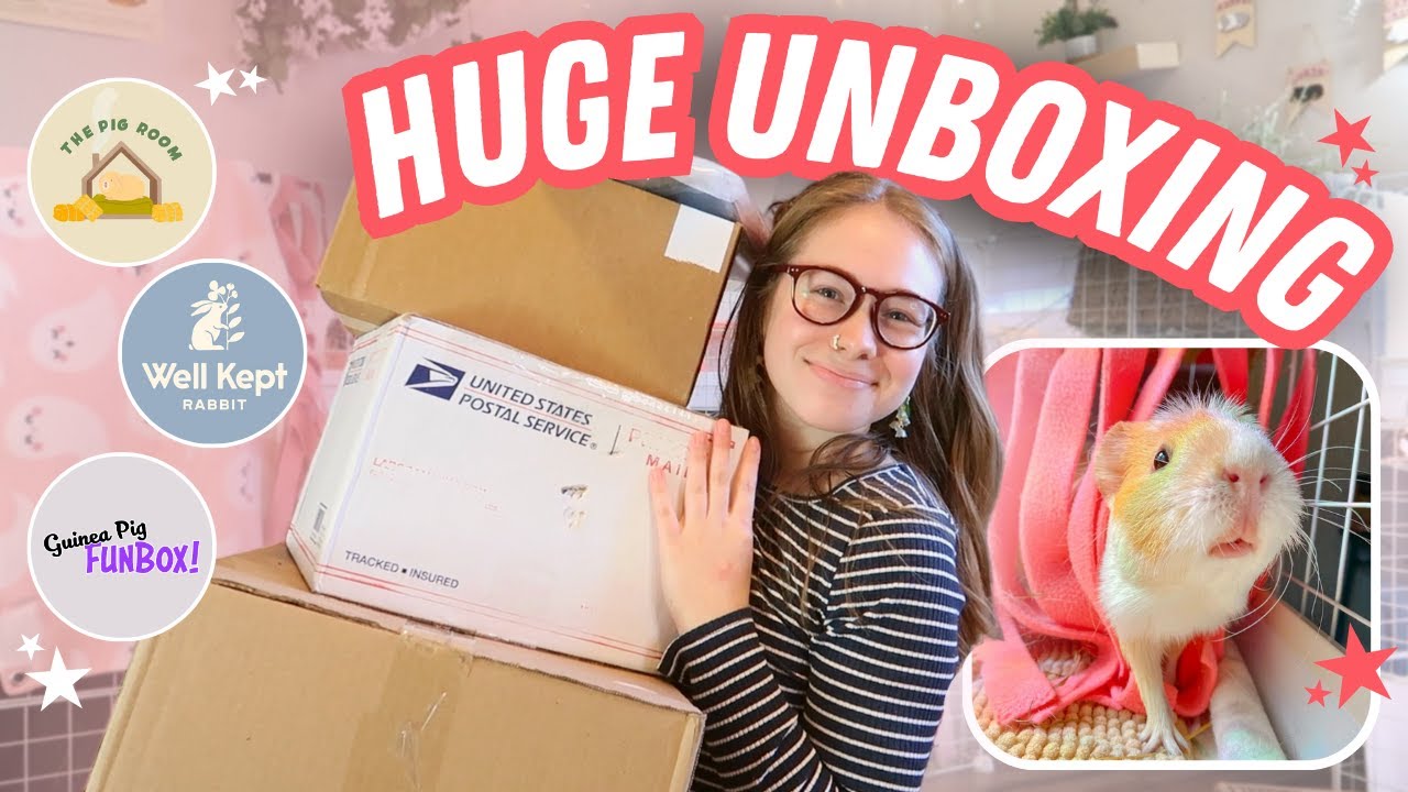 HUGE GUINEA PIG SUPPLIES UNBOXING