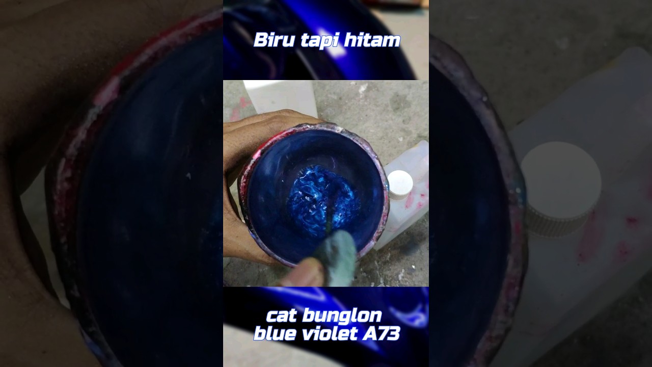 moonlight blue base cat bunglon