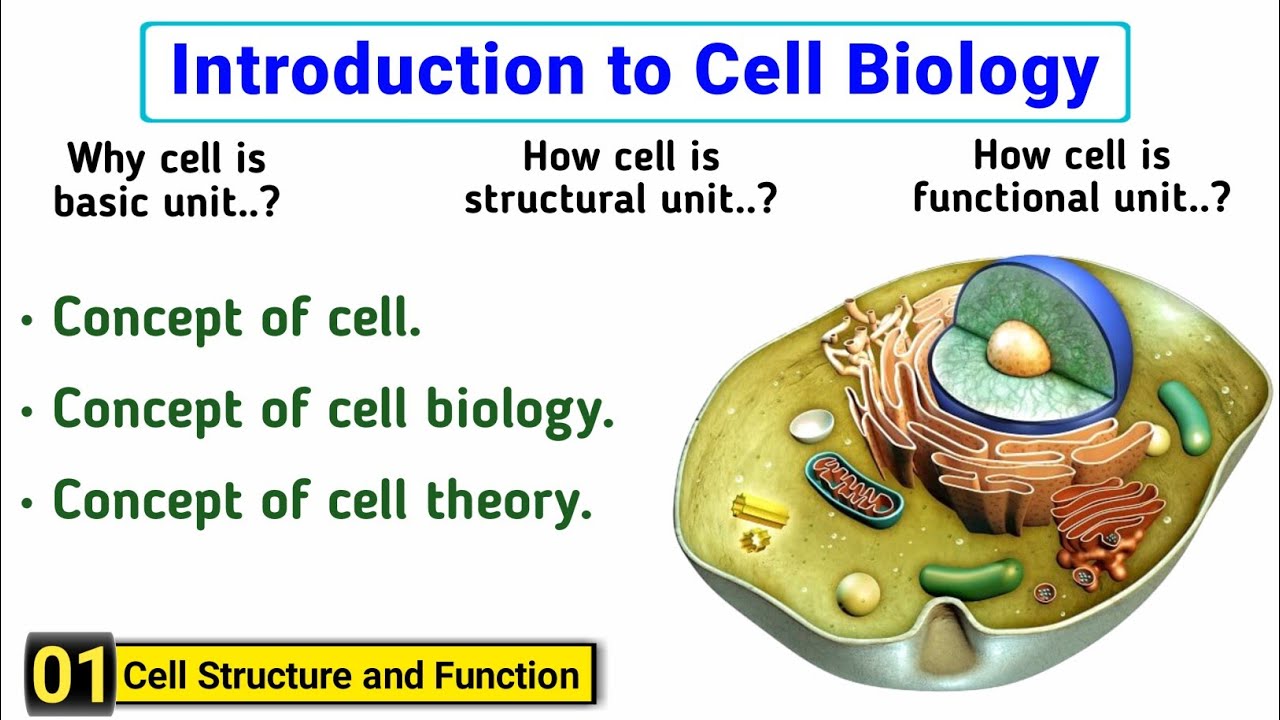 Complete concept of cell | Cell Structure and Function | Cell Theory | J Biology