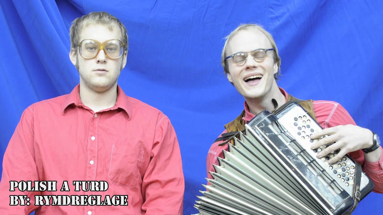 Rymdreglage - Polish a Turd (just the song)