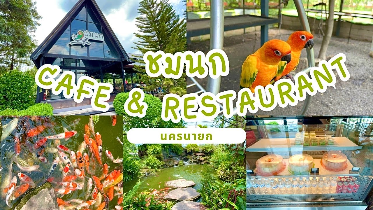 [ Cafe Vlog ] 🎂🎊✨ ชมนก Cafe & Restaurant @นครนายก | ชมนก ชมปลามธรรมชาติสุดๆ | JdayToy