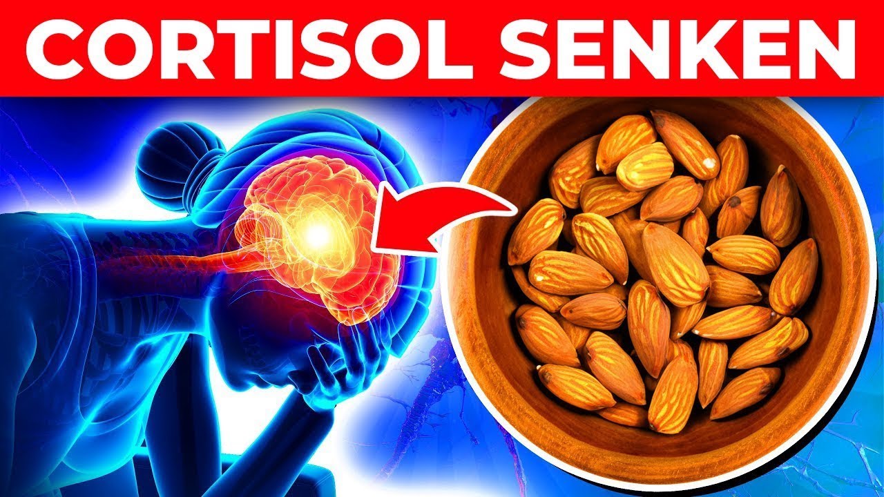 6 Lebensmittel, die helfen, den Cortisol-Spiegel zu senken und STRESS zu lindern!