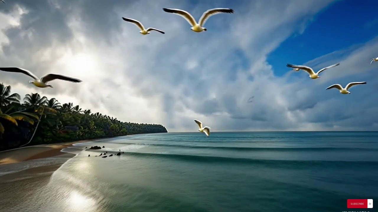 Reggae Music Mix 2025  😍  Best Reggae Love Beach Songs ,Top Reggae Special Relax  Music Special 32