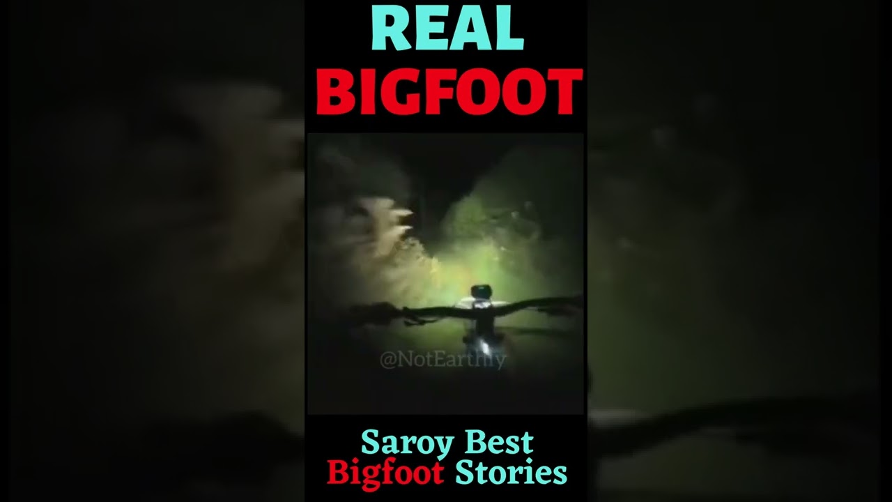 Bigfoot Scene at Night!!! Can You See Him???😨😨 #Bigfoots testimony
