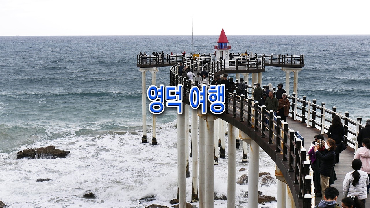 2026년 2월28일 영덕여행(영덕대게시장+메타세콰이어 숲길+이가리닻 전망대)