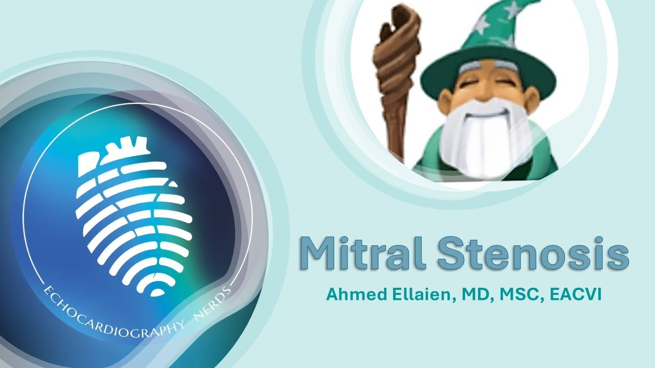 Mitral stenosis different causes and how to identify in Echocardiogrpahy
