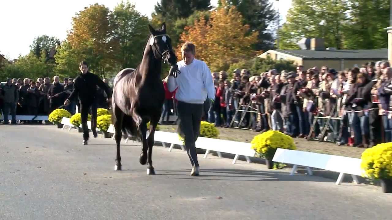 Hancock v. Imperio - Münchhausen