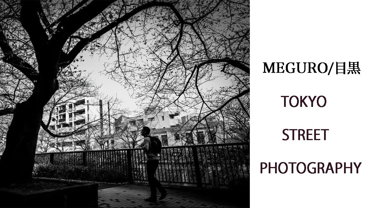 【目黒川及び近辺】目黒〜中目黒　目黒川の桜　Tokyo Street Photography  / 東京ストリートスナップ