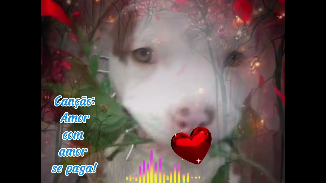 Amor com amor se paga !