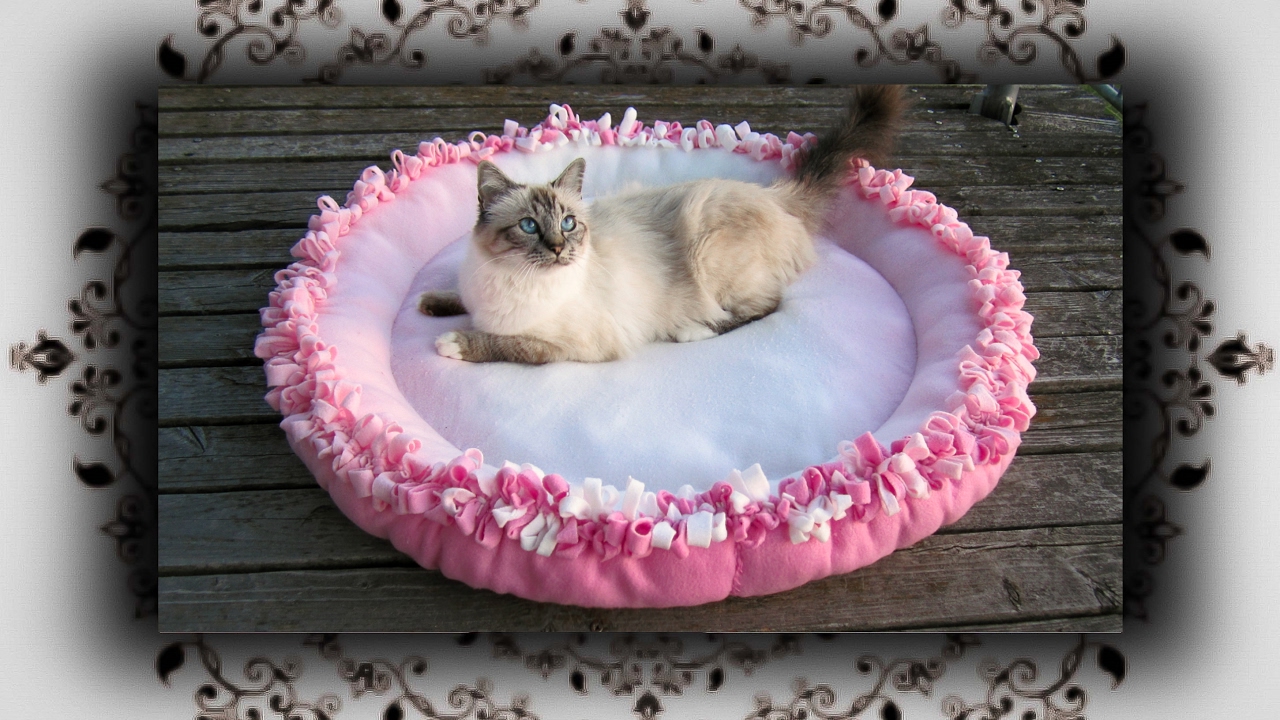 DIY 😻 XL Knoten Kissen Bett für Katzen & Hunde | Knot cushion bed for Cats & Dogs