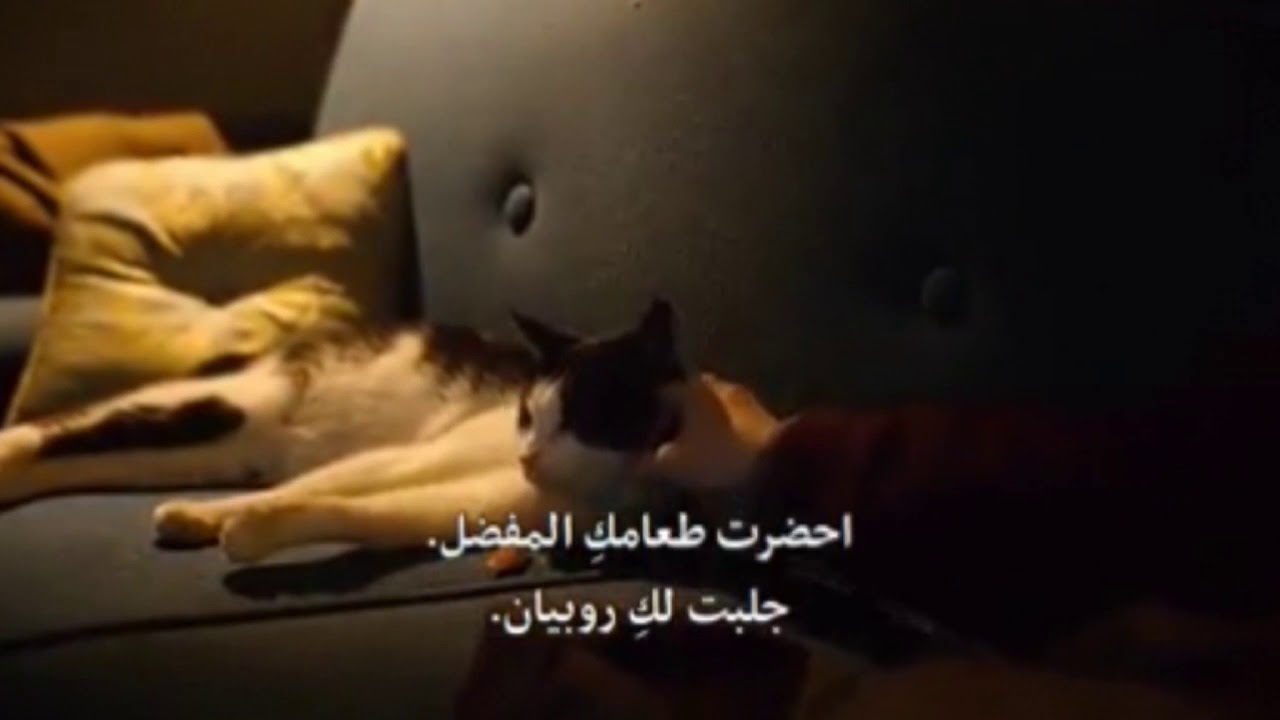 ألم فقدان حيوانك الأليف 💔